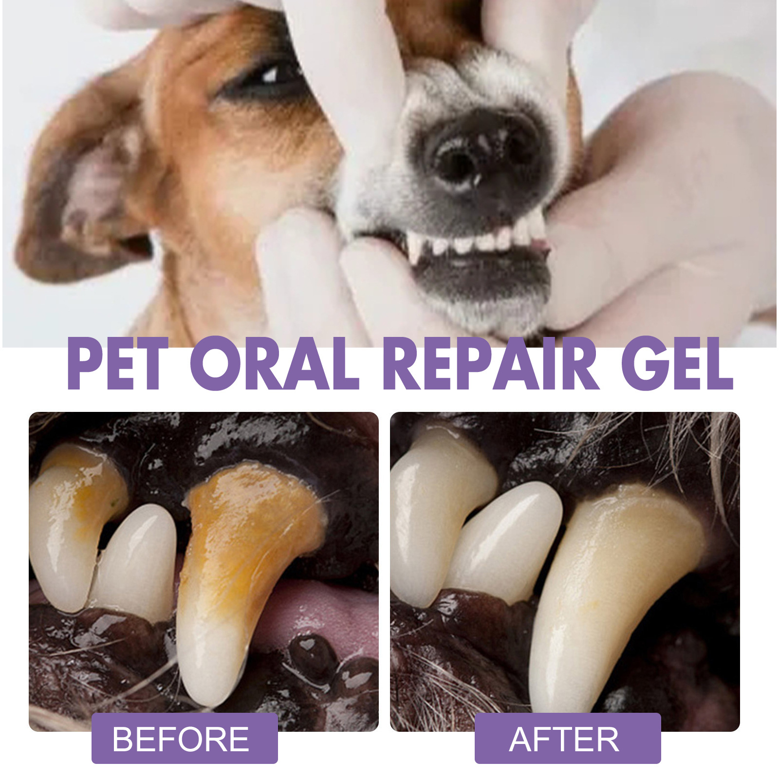 Pet Oral Repair Gel Puppy Tart - Teeth Whitening Ai review and price