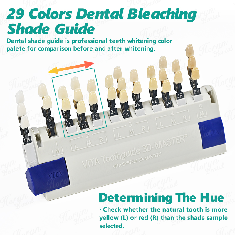 Vita 3D Master Dental Lab Blea - Teeth Whitening Shade Guide review and price