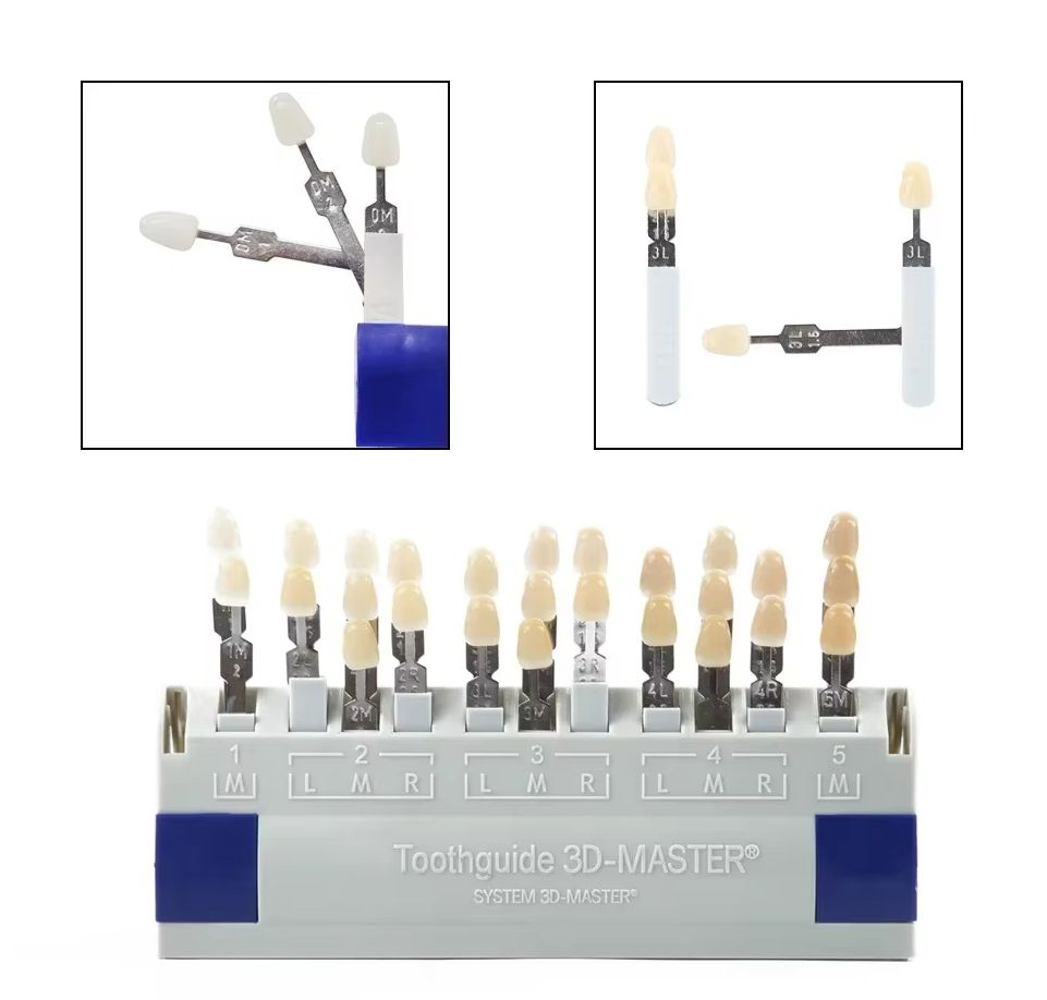 Vita 3D Master Dental Lab Blea - Teeth Whitening Shade Guide review and price
