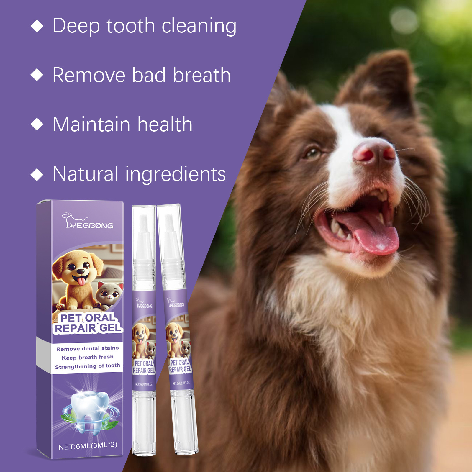12pcs Pet Toothbrush Pen Denta - Teeth Whitening Pen review and price